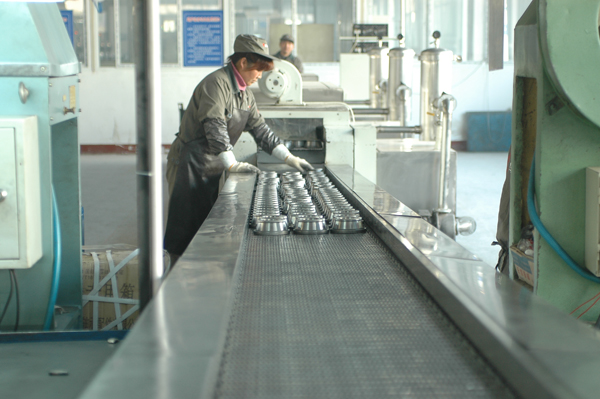 鷹牌(pai)軸承(cheng)-全自(zi)動清(qing)洗機(ji)